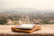 E-book reader laying on the book outdoors