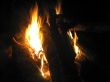Bonfire and burning fire in the night