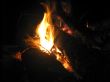 Bonfire and burning fire in the night