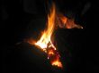 Bonfire and the coals after burning fire