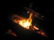 Bonfire and the coals after burning fire