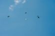 Skydiving