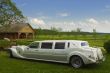 Light limousine in the meadow