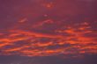 Background of red sky.