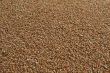 Grain