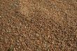 Grain
