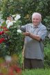 Grower of roses