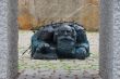 art in vienna