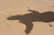 Shadow in dune