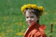 Boy in dandelion meadow.