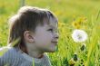 Boy in dandelion meadow.