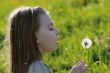Young girl in summer day.