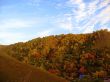 Golden autumn, blue sky and caucasus mountains