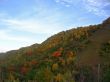 Golden autumn, blue sky and caucasus mountains