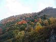 Golden autumn, blue sky and caucasus mountains