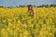 Beauty girl in flower meadow.