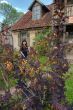 Beauty girl in garden.
