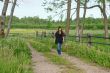Walk near by dandelion meadow.