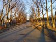 Sunny road and warm autumn day