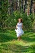 Active relaxation in the wood