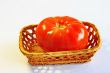  tomato on a white background 