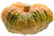 Colourful pumpkin isolated on white background.