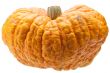 Orange pumpkin isolated on white background.