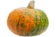 Colourful pumpkin isolated on white background.