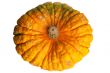 Colourful pumpkin isolated on white background.