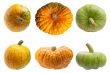 Colourful pumpkins isolated on white background.