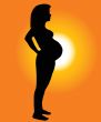 The Silhouette of the pregnant woman.