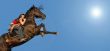 rearing horse
