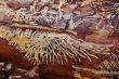 wood_worm_pattern