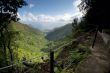 View of hiking trail