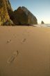 Footprints