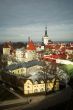 Olaviste tower at Tallinn