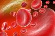 blood cells	