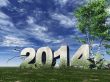 year 2014