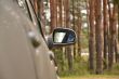 Automobile lateral mirror