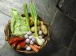 vegetables
