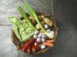 vegetables