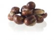 chestnut