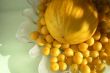 yellow fruits