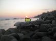 Green glass laying on the sea shore
