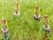 Chocolate easter bunny