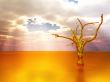 golden tree