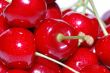 cherries great view