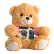 Cute teddy bear, isolated 