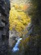 Honey waterfalls and autumn. The North Caucas.