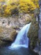 Honey waterfalls and autumn. The North Caucas.